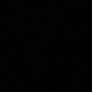 Meet your Posher, Maddie